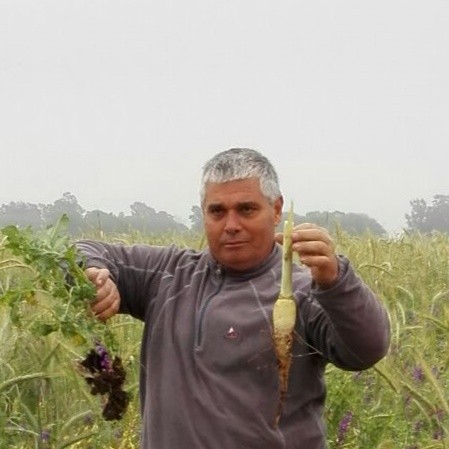 disertantes-img