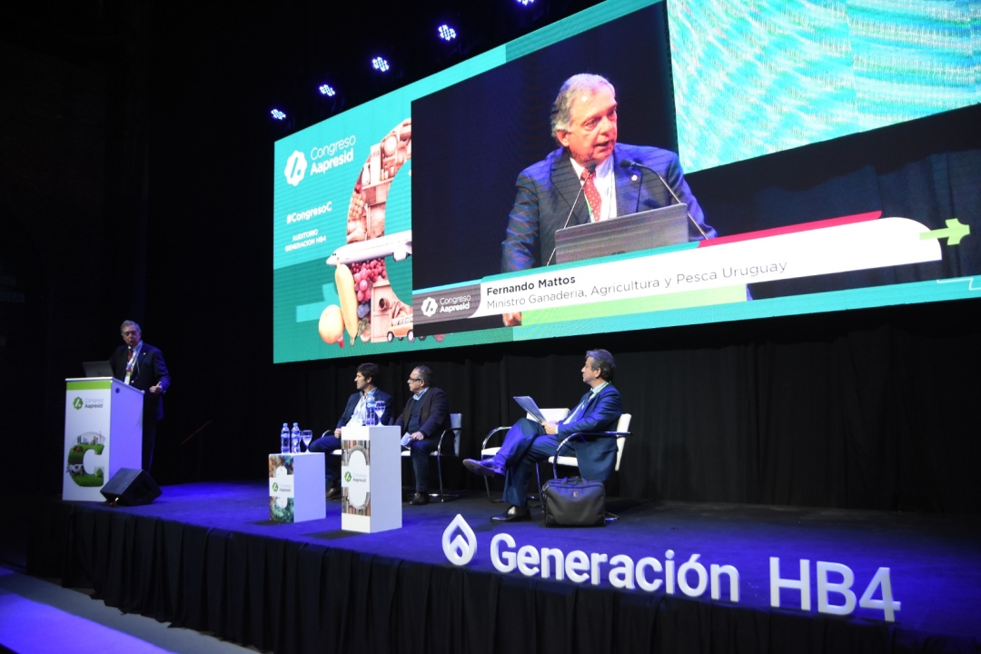 imagen del blog