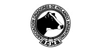 Logo del stand