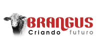 Logo del stand