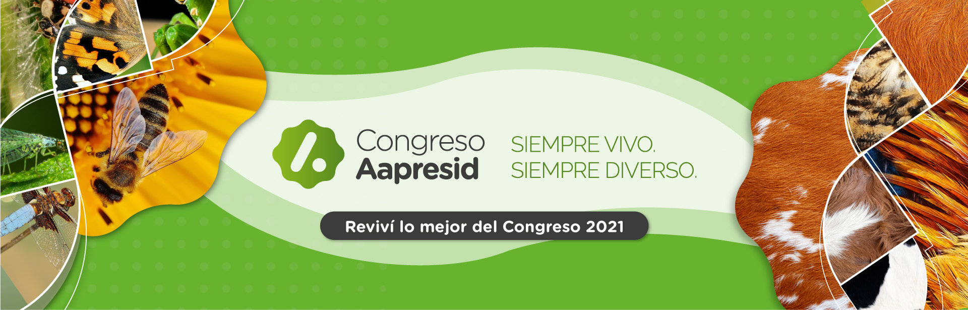 fondo congreso