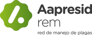 Logo REM