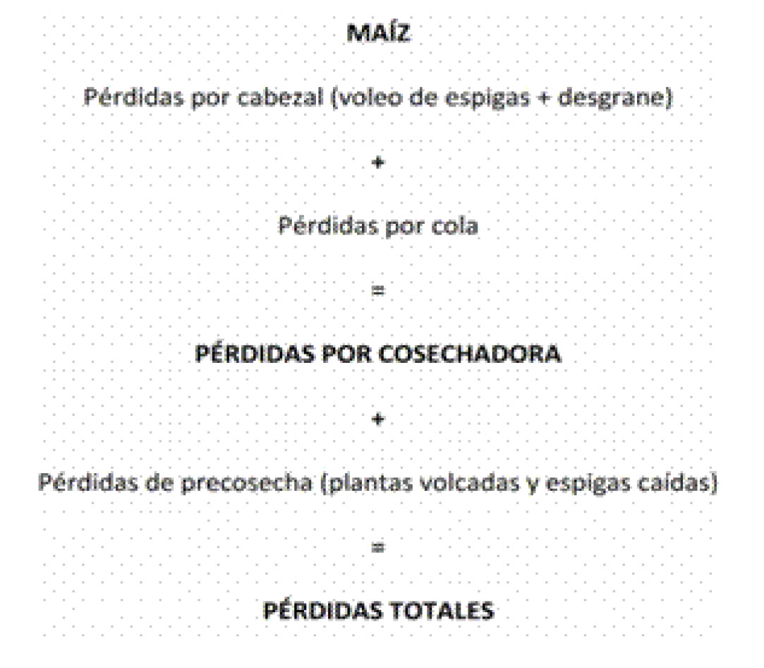 Maiz_perdidas_2013_10
