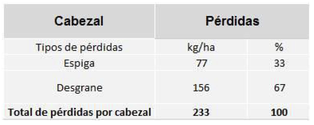 Maiz_perdidas_2013_3