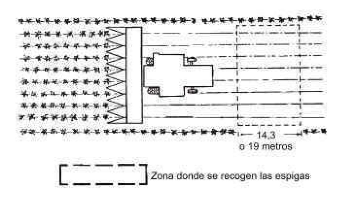Maiz_perdidas_2013_8