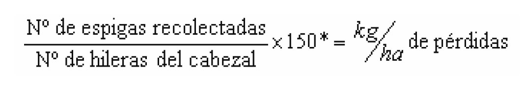 Maiz_perdidas_2013_9