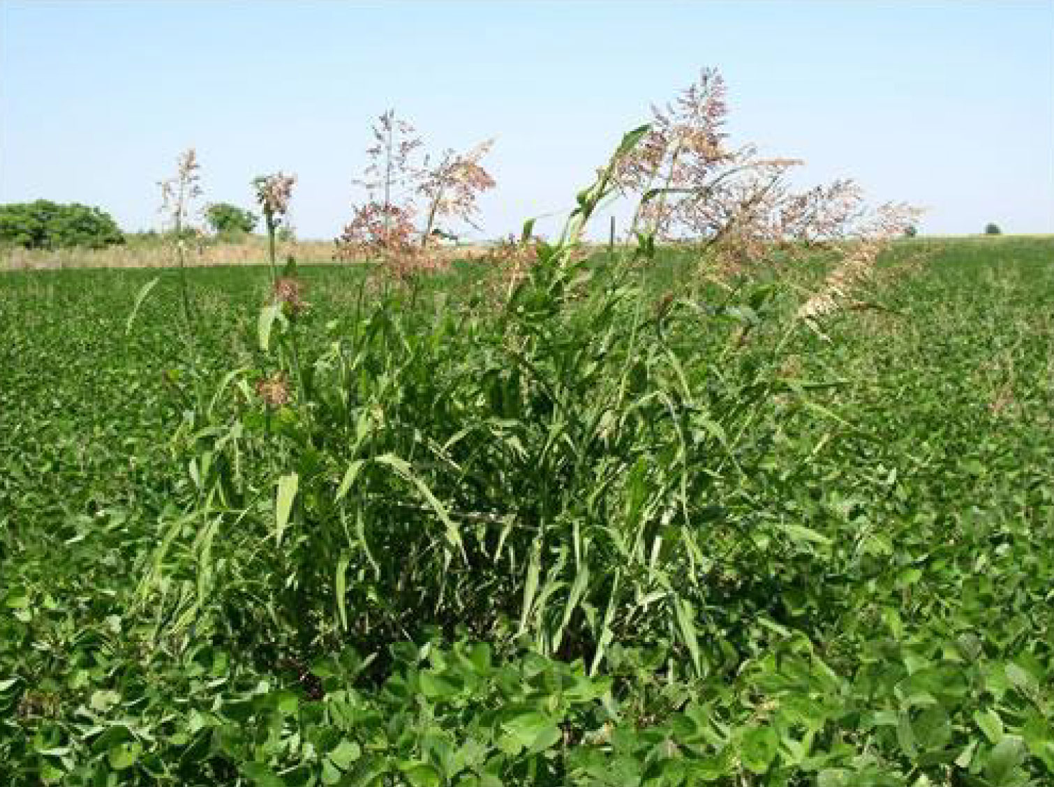 foto_1