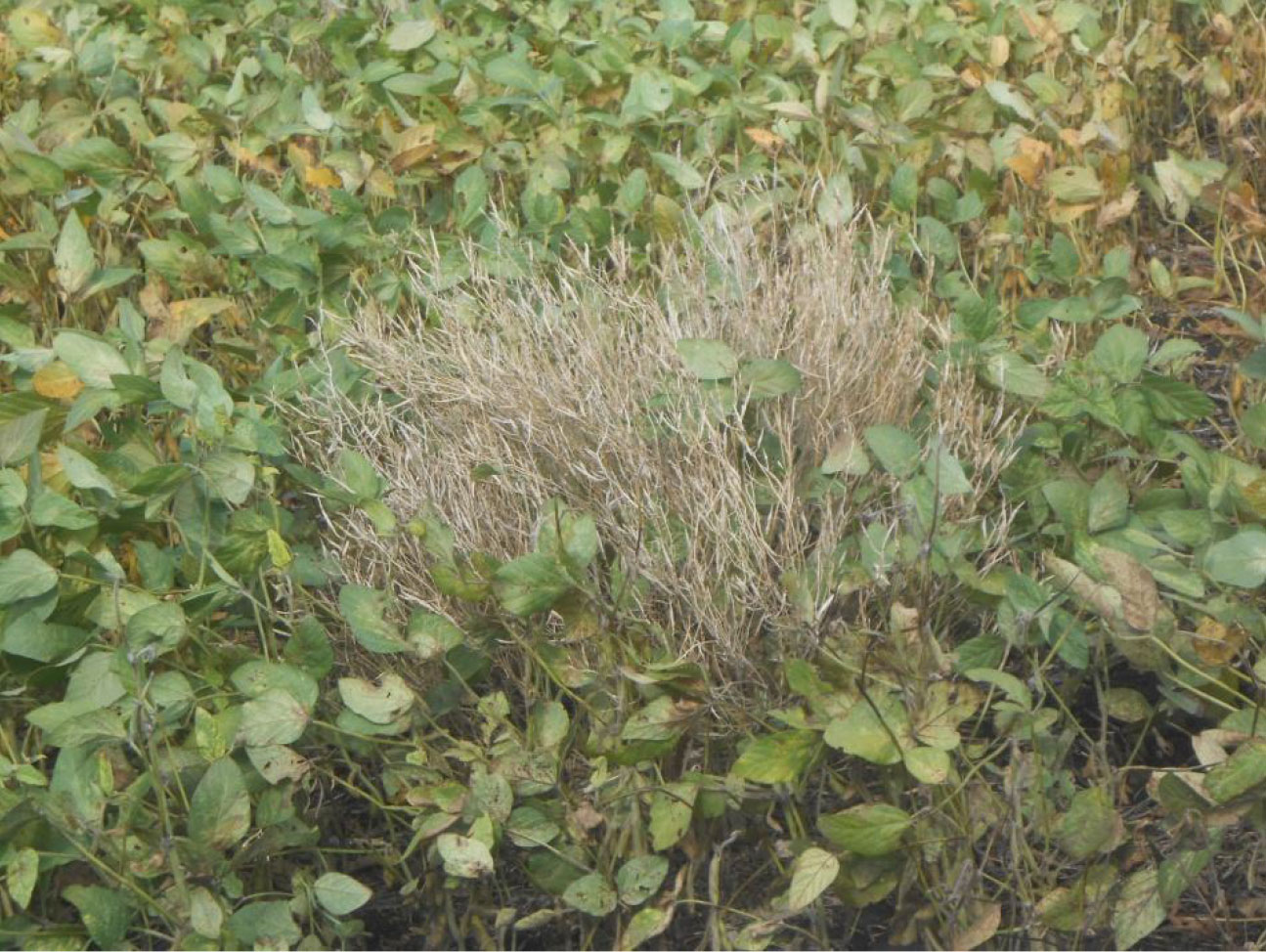 foto-2