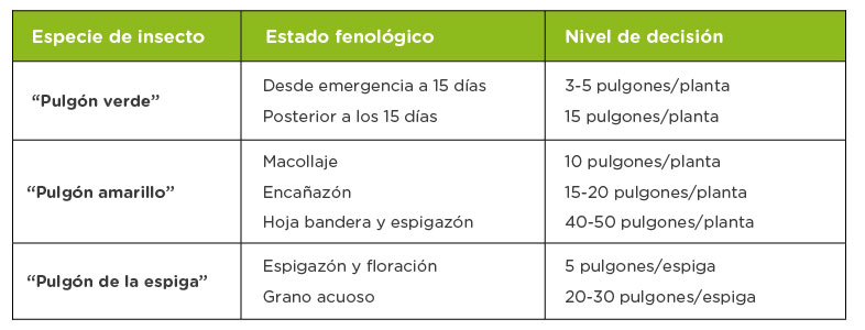 tabla_pulgones
