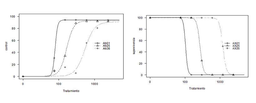 graficos