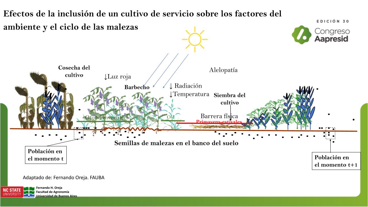 Esquema-pptx