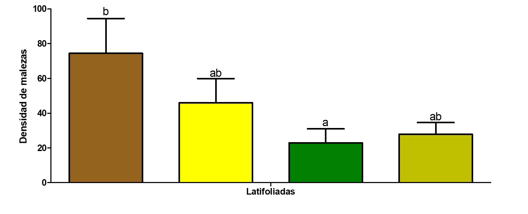 Lat-y-Gram-primera-medicion_2