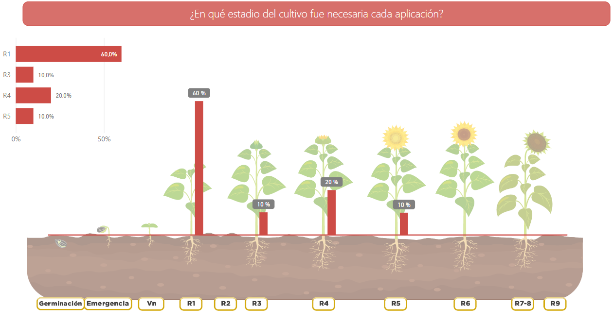 estado en enfermedades de girasol