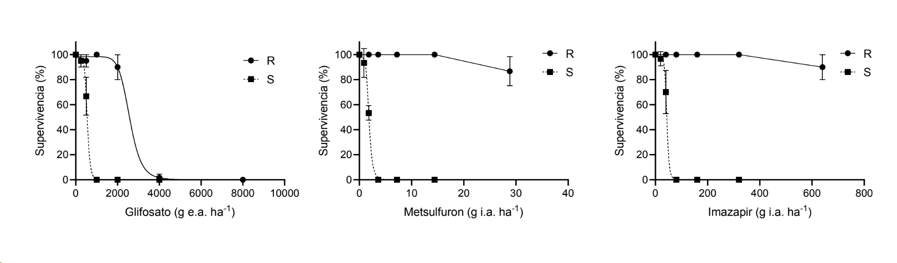 Graficos Resistencia Morenita