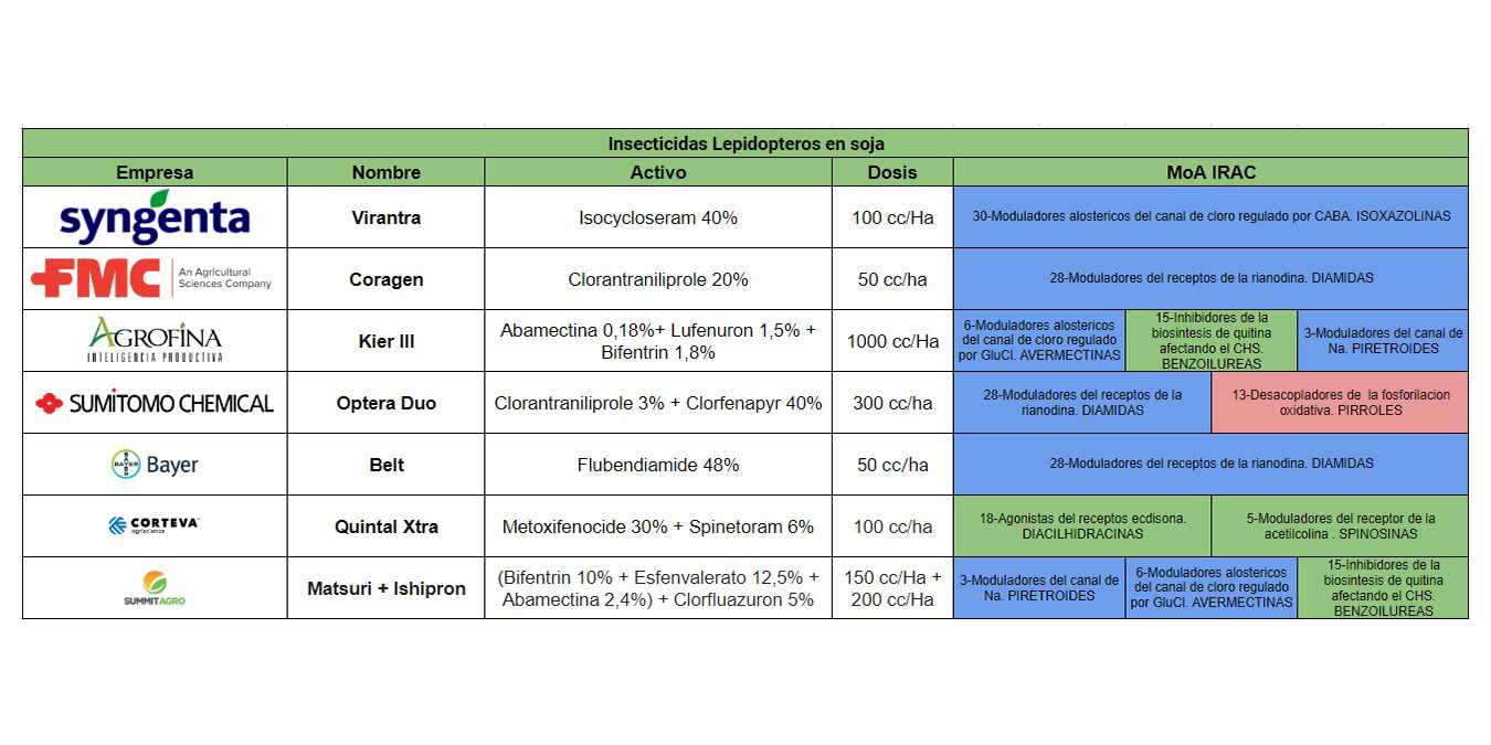rem330-3mascalidad