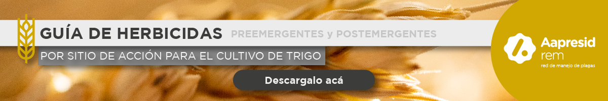 banner para nota web_Mesa de trabajo 1