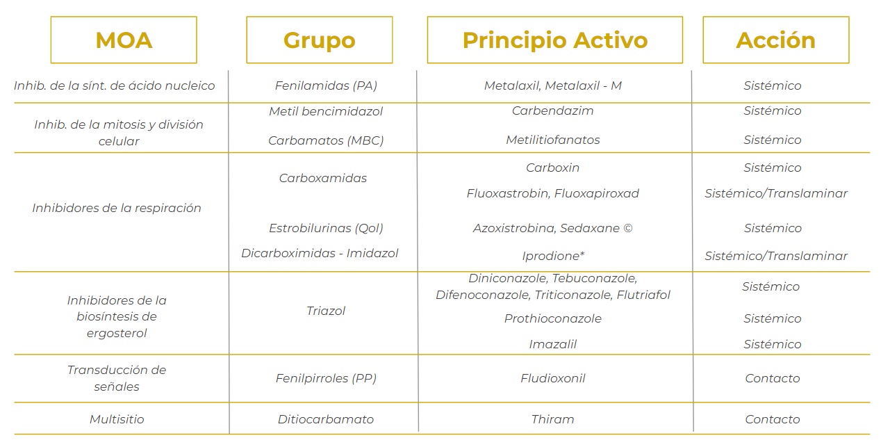 Activos de curasemillas