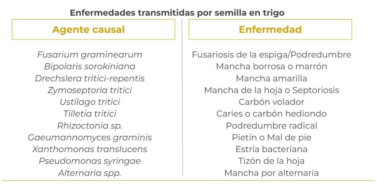 manejocuadro