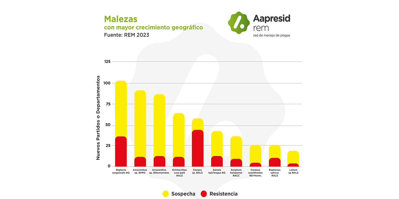 graficomapas2