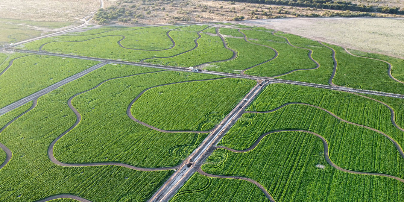 paisajesalimentarios