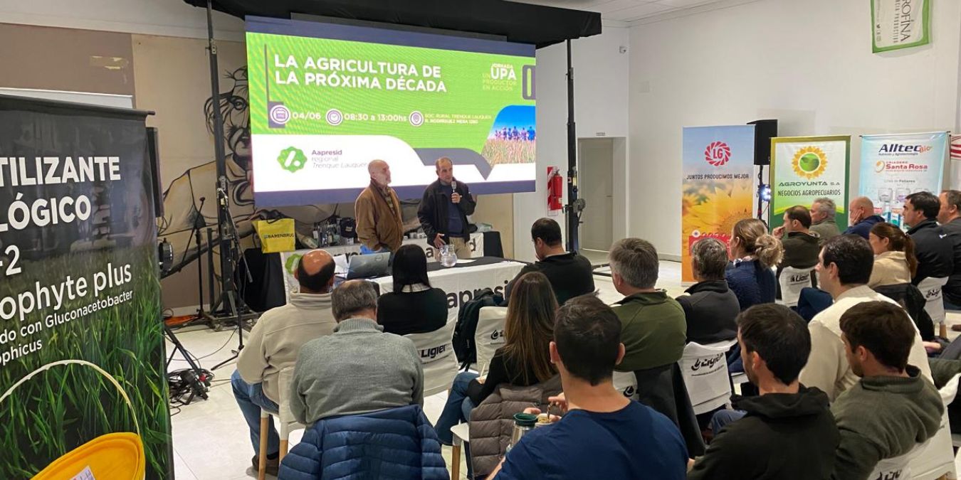 Upa-Ajuste-Reformas3