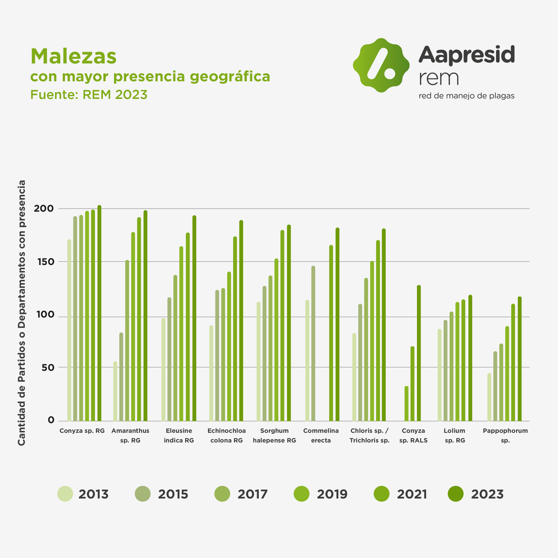 grafico rem newsletter julio-01
