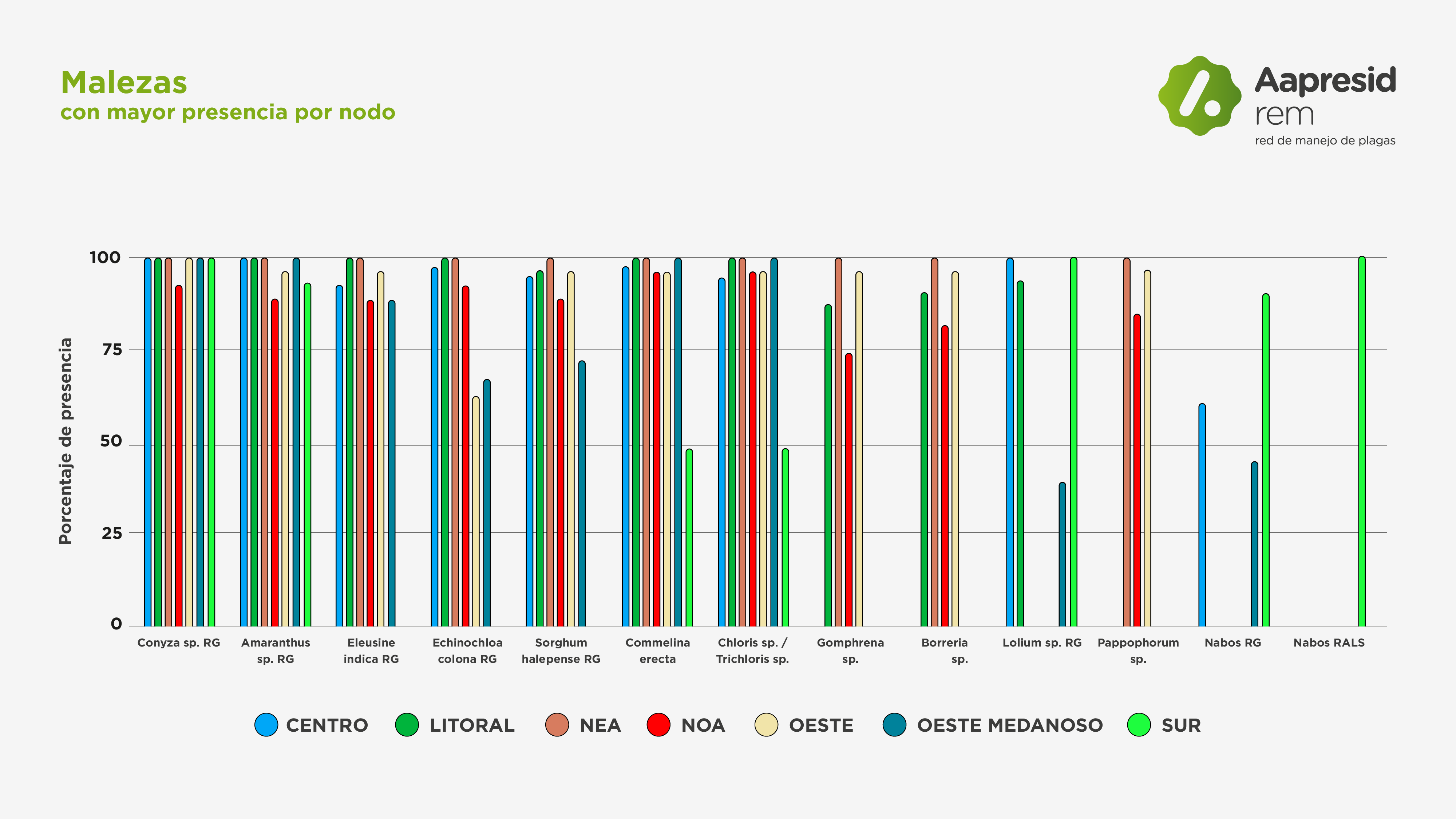 grafico rem newsletter julio-03