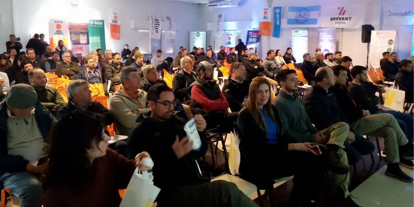 Regional-Vedia-Alberdi-1
