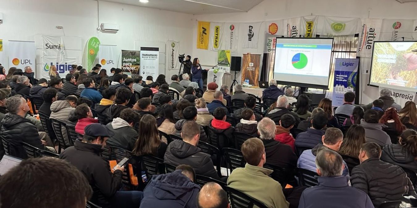 Jornada Lincoln - 1