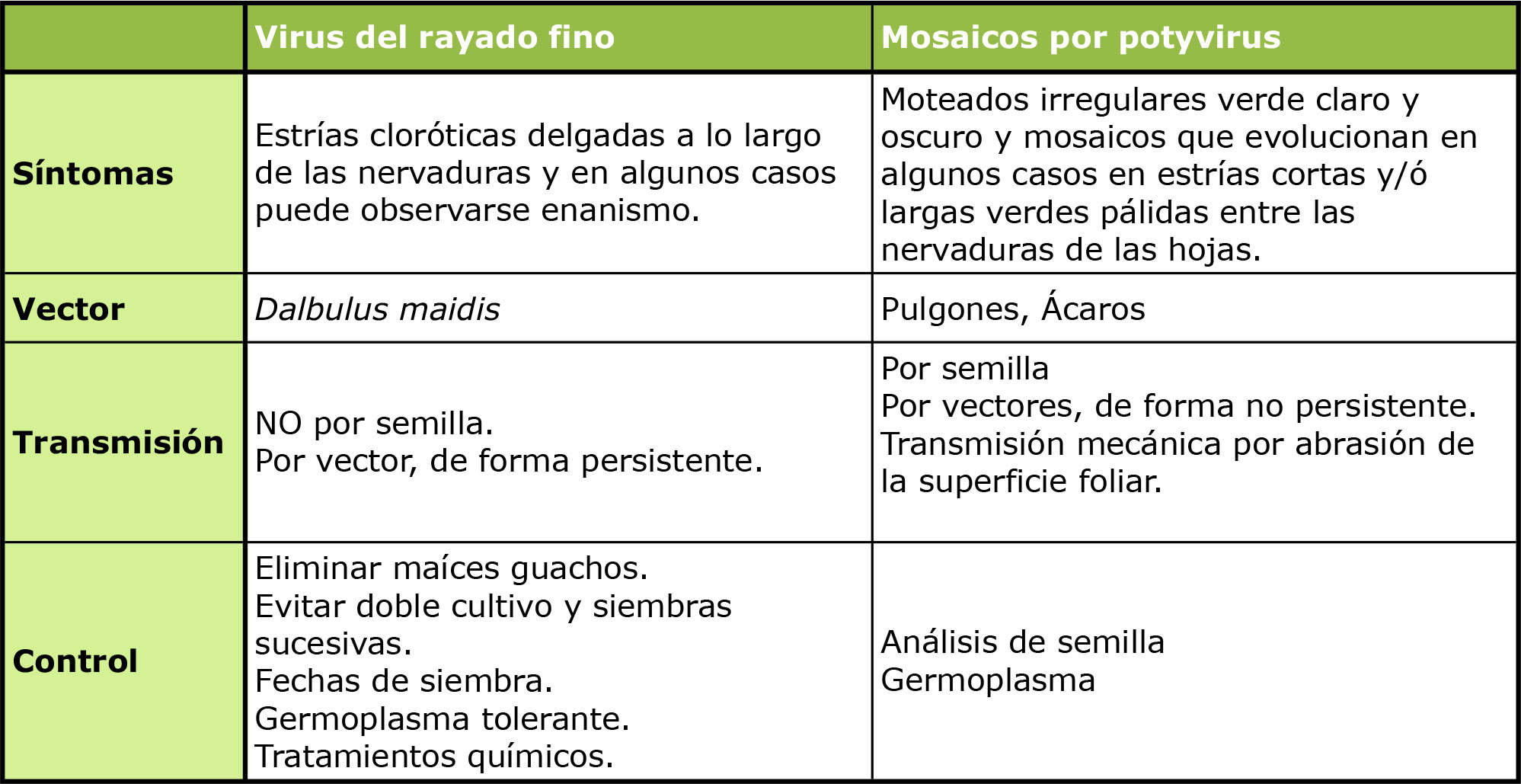 Cuadro-2