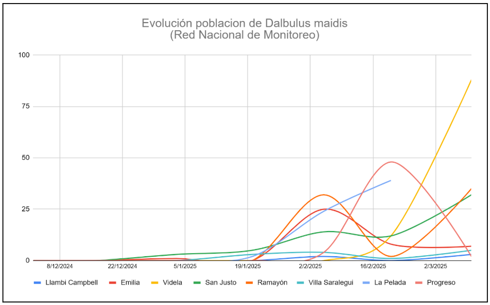 Grafico evolucio?n poblacio?n D- maidis