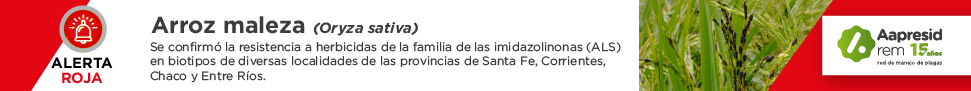 Alerta REM - Aroz maleza_BANNER-02