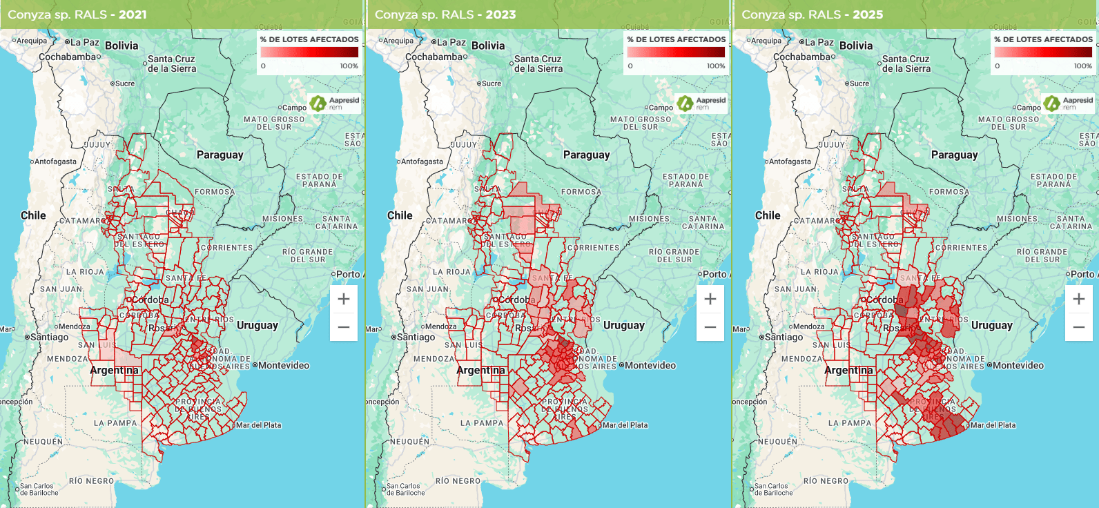 Grafico Conyza RALS para nota-min