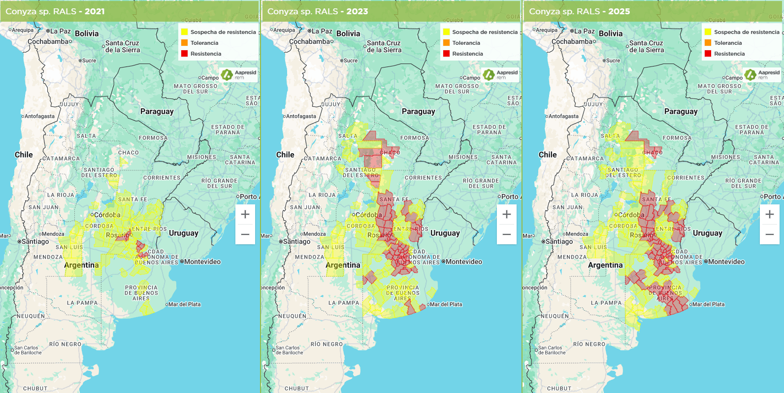Mapas 2025 Conyza RALS-min