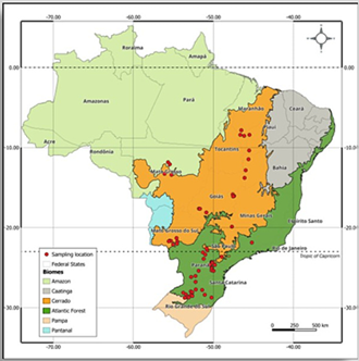 brasil sitios